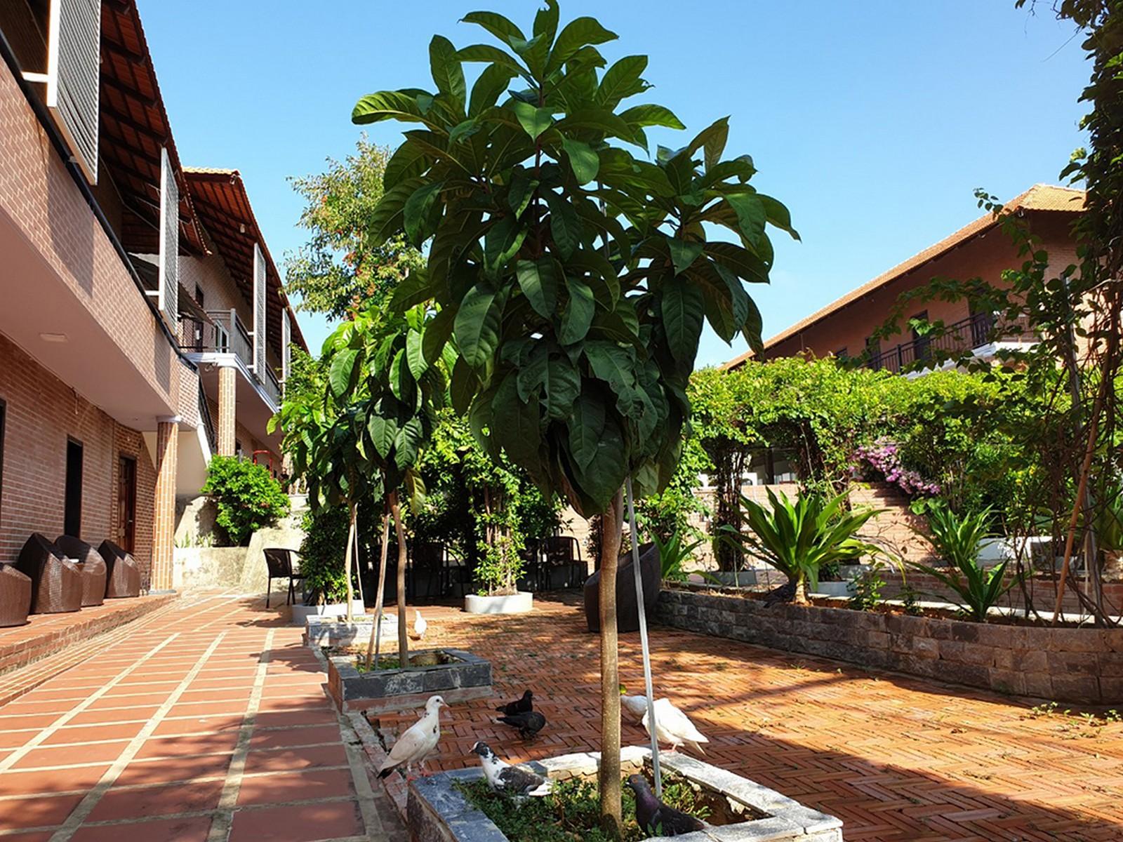 Countryside Phu Quoc Resort Kültér fotó